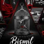Bismil Novel By Mehrnnisa Shahmeer